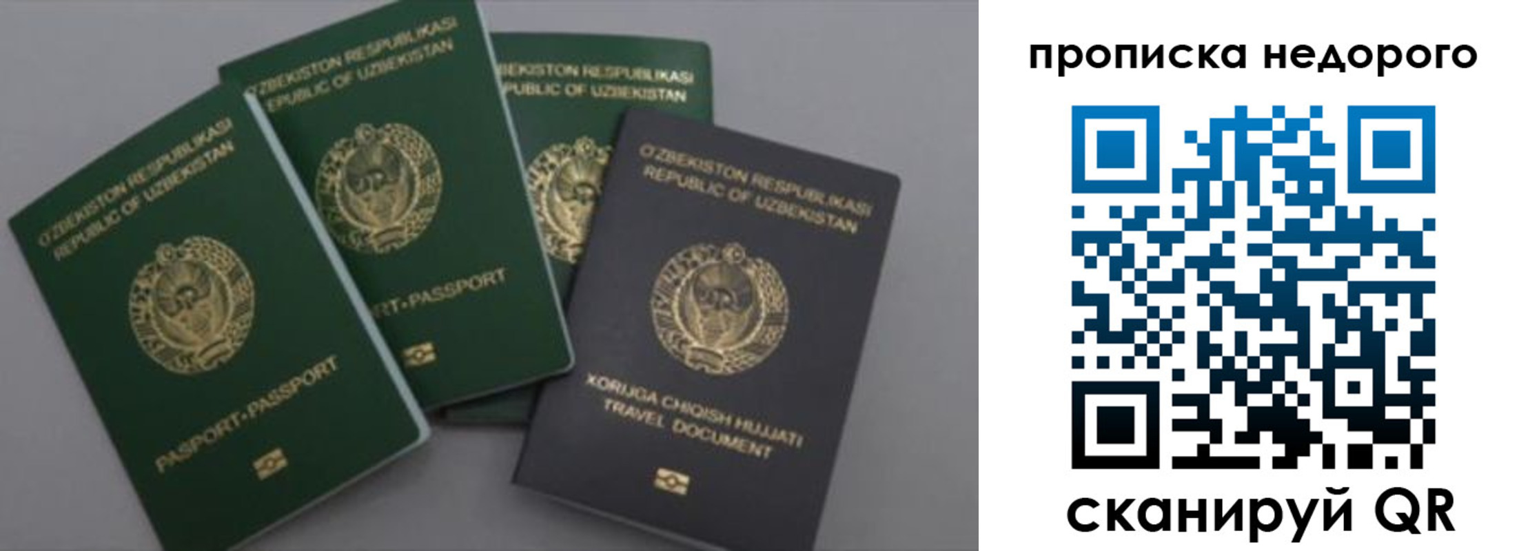 регистрация для школы в Струнино